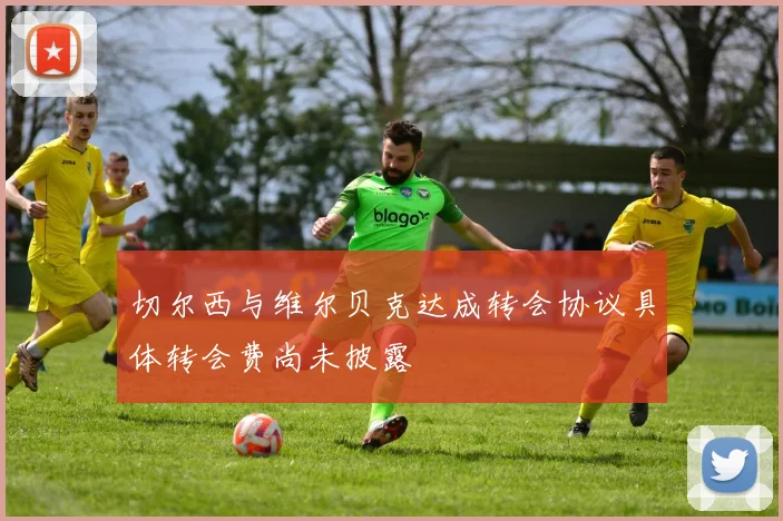 切尔西与维尔贝克达成转会协议具体转会费尚未披露